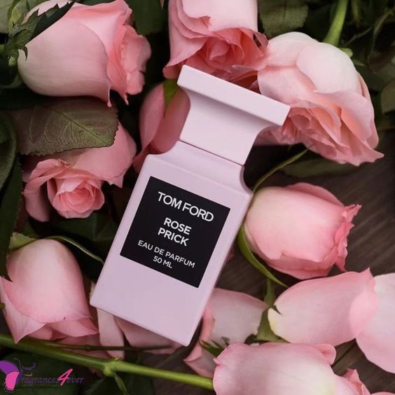 A pink bottle of Baccarats' Tom Ford Rose Prick Eau de Parfum for Men and Women, 100 ml, emits a warm floral fragrance that evokes the essence of a secluded rose garden. It features a black rectangular label displaying the brand and fragrance name, set against its sleek, minimalist design.