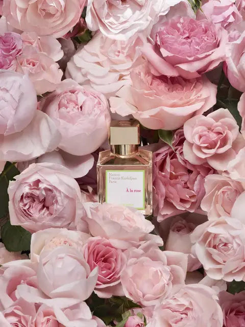 À La Rose Eau de Parfum - Baccarats